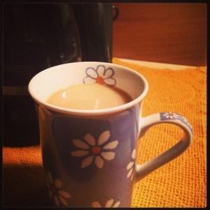 11224677_10207857270580688_3519159843123652756_n